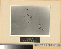 藏品(驅逐機編隊飛行)的圖片